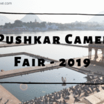Light and Sound Show at Amer Fort Timing, Ticket Cost and Useful Info